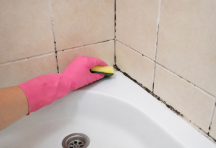 Schimmel wird aus den Fugen im Badezimmer mit einem Schwamm entfernt.